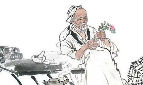 專欄 藥食同源 讓廚房變成養生 藥房 之茵陳