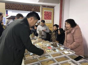 藥圃 長成記 華佗故里 安徽亳州的醫(yī)藥經(jīng)